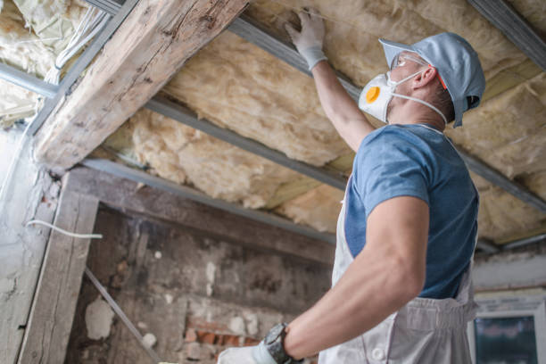 Best Insulation Replacement Services  in Morrisville, PA