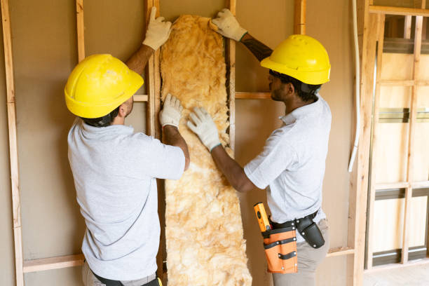 Best Insulation Removal  in Morrisville, PA