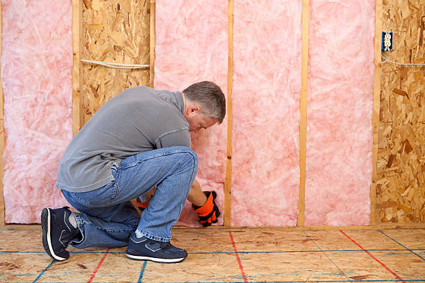 Insulation Inspection Services in Morrisville, PA